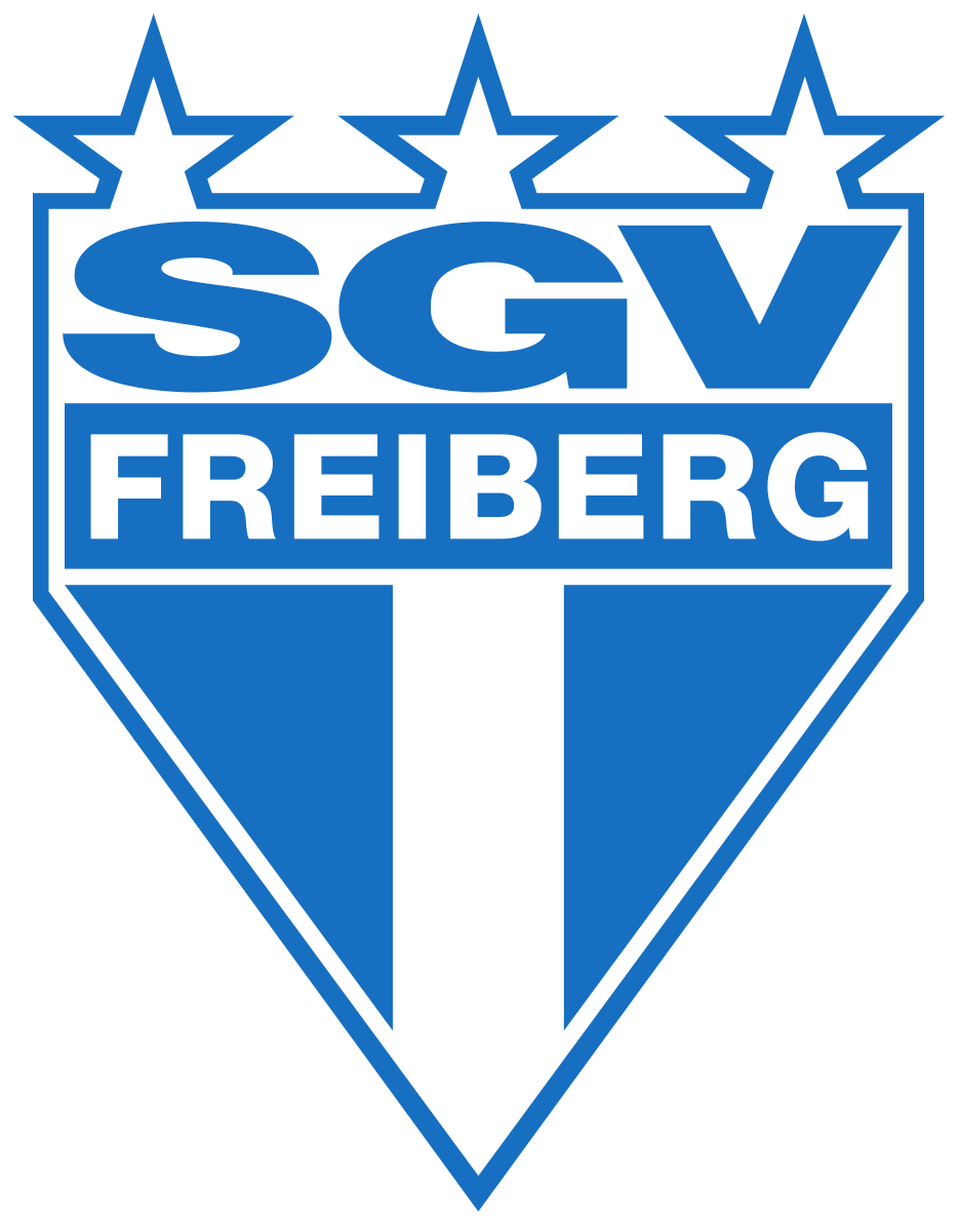 Torwart-Set SGV Freiberg